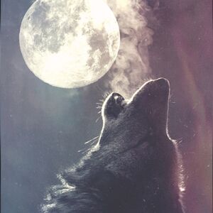 ✨🌙 Certificate of Authenticity